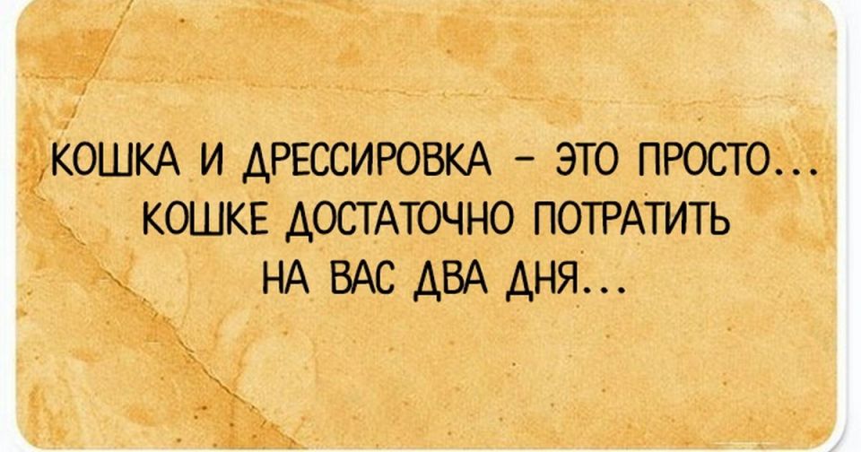 ������� �����. �� � Telegram