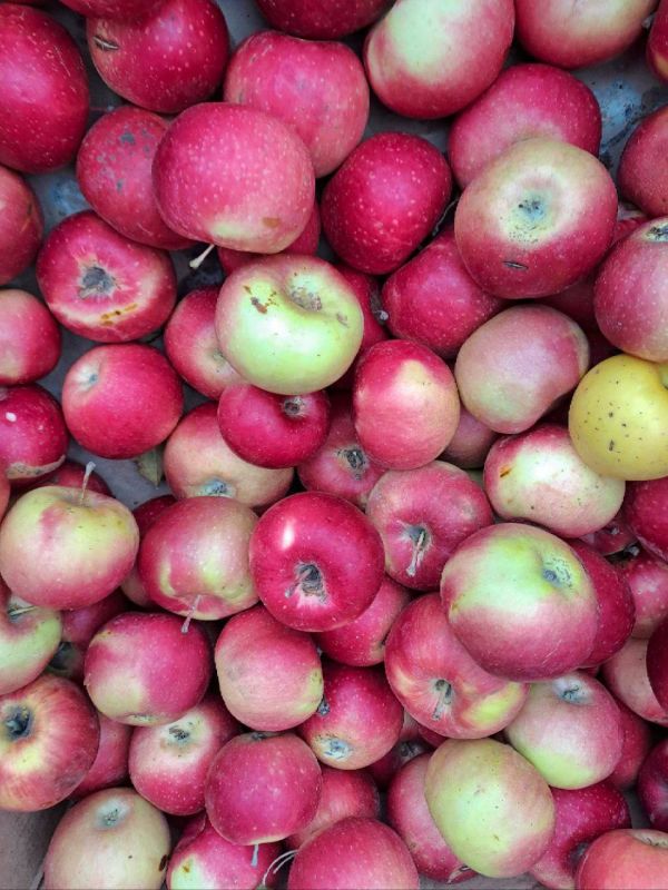 ������������ ������� � ������ ���������