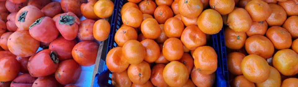 ������������ ������� � ������ ���������