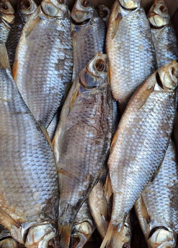 ������������ ������� � ������ ���������