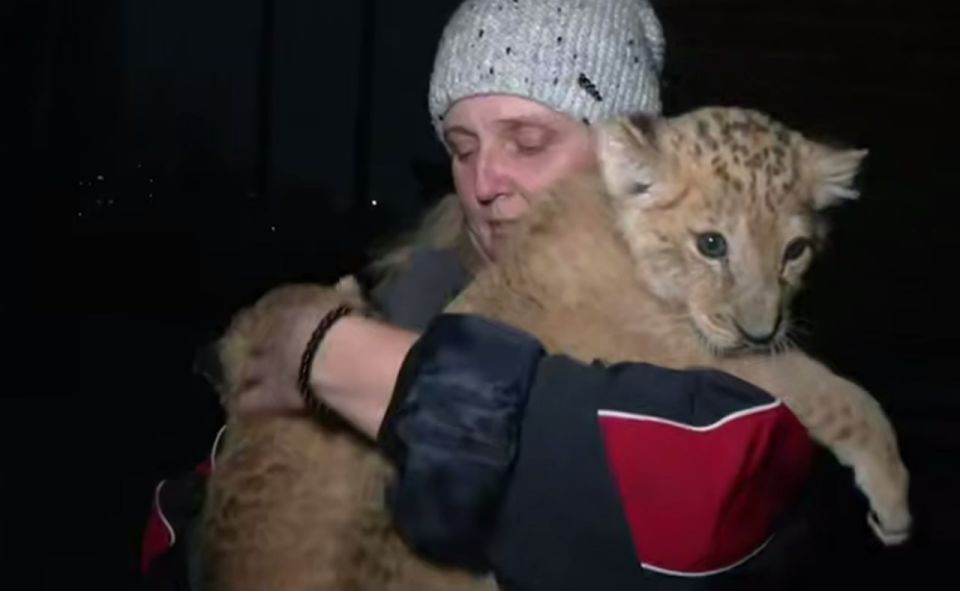 ��������� ������� - � ������������� ��������