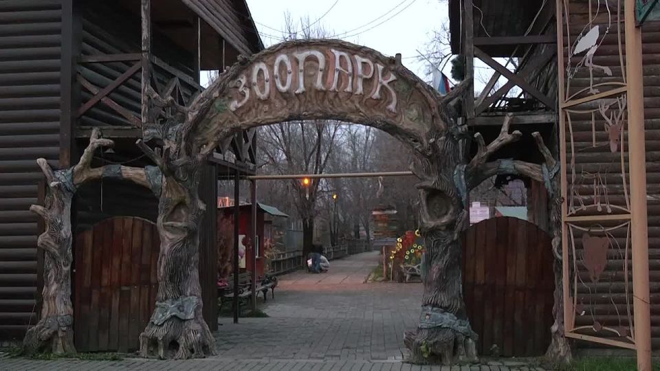 ������ ���: � ��� � ����� �� ������������ ���������� ������� ������ ������ - ������