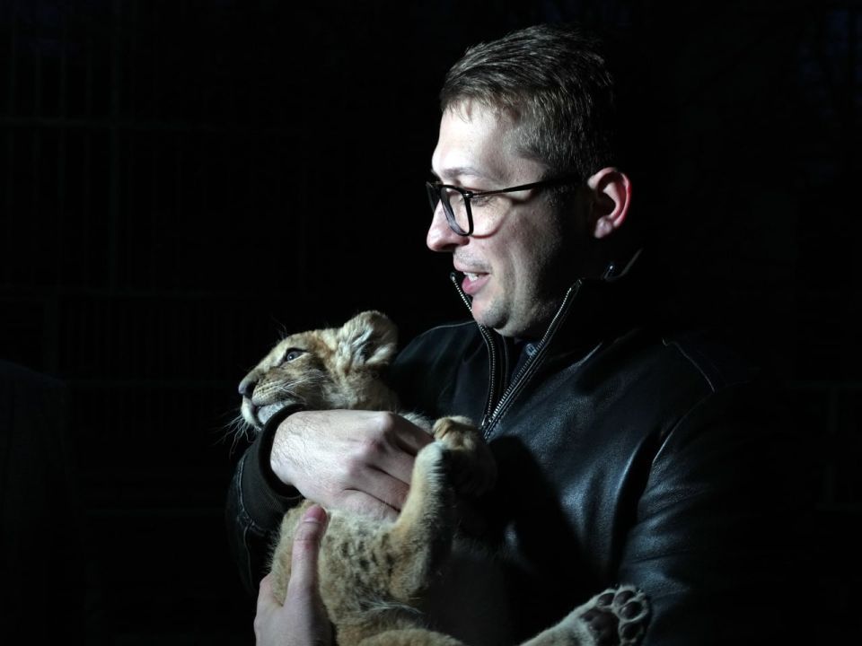 ����� �������: � ������������� ������� ������� ����� ������������� � ������������ ������