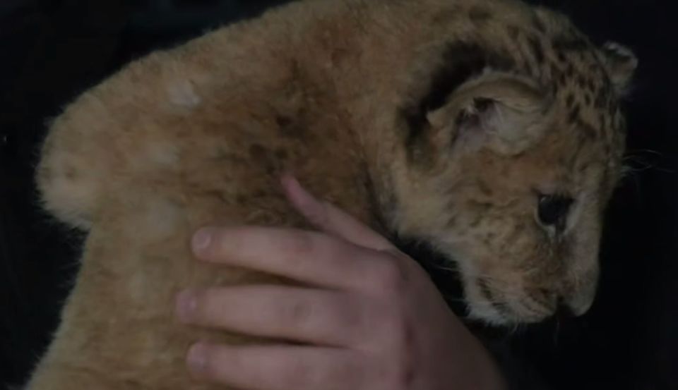 ��������� ������� - � ������������� ��������