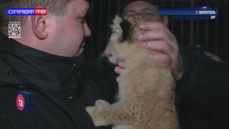 ������� ������!. ��������� ������ ��������� � ������������ ��� ����� ��������