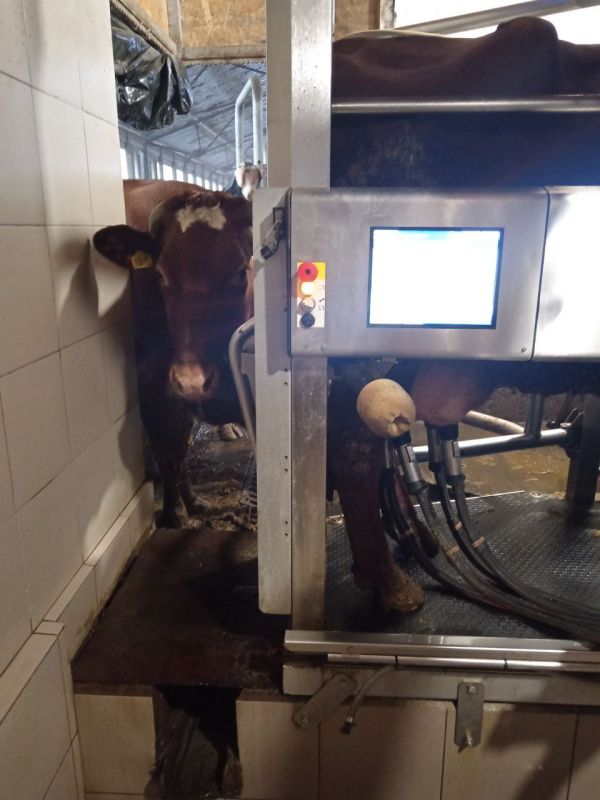 ��� �������� ����� ��������� �������� ����� ���������?