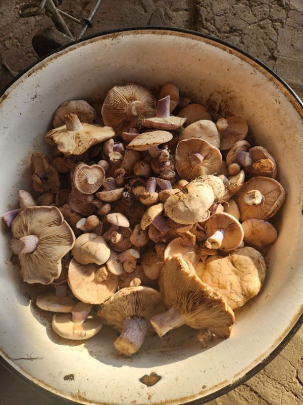 ����� ����� ������ � �������?