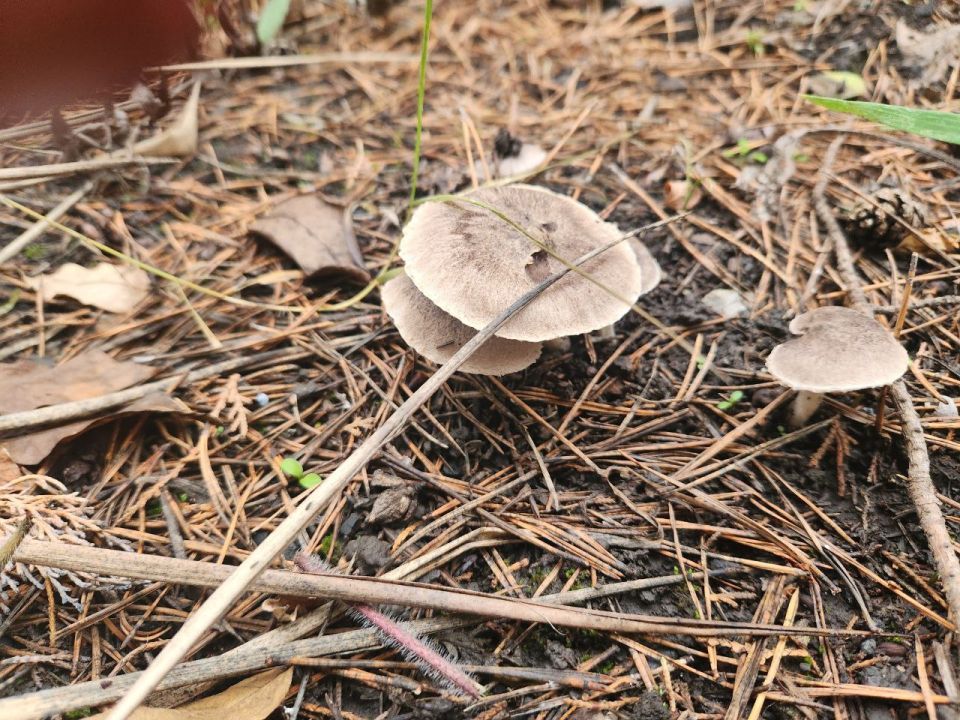 ����� ����� ������ � �������?