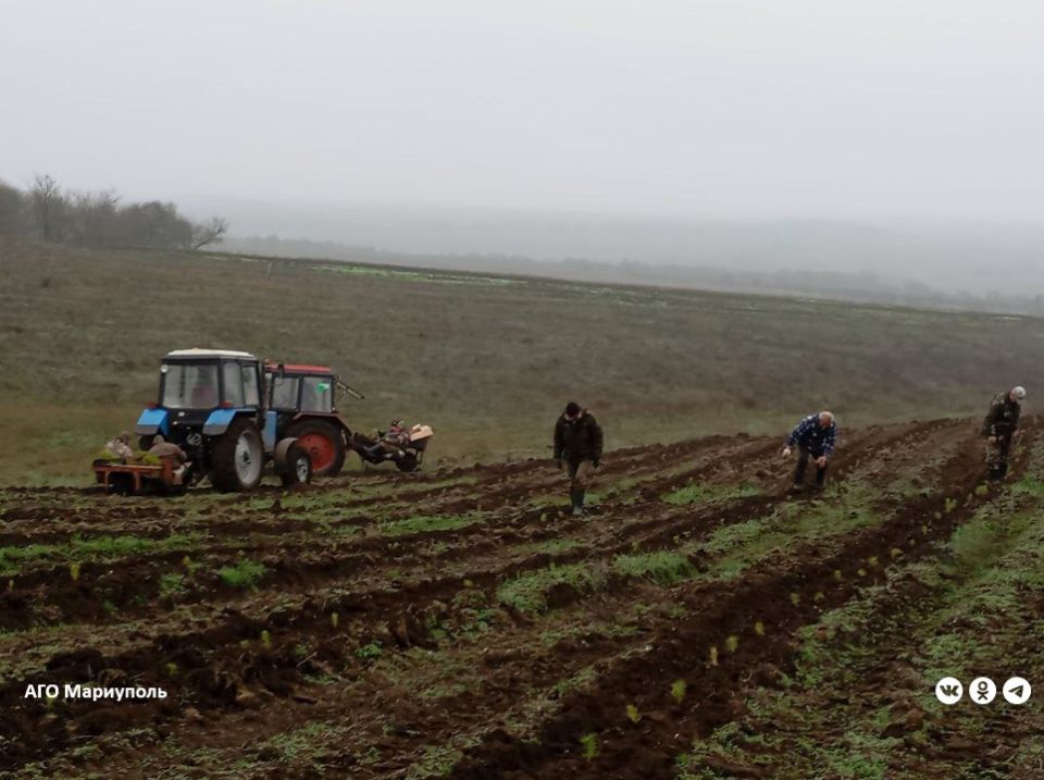 ����������� ������ ���������� ������ �������� ������������