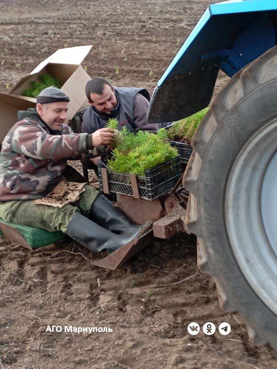 ����������� ������ ���������� ������ �������� ������������