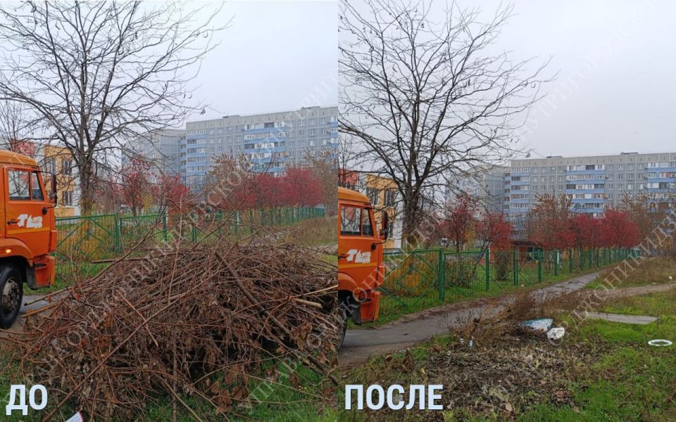 �������� ������� ����� - ������ ����, ������ ���