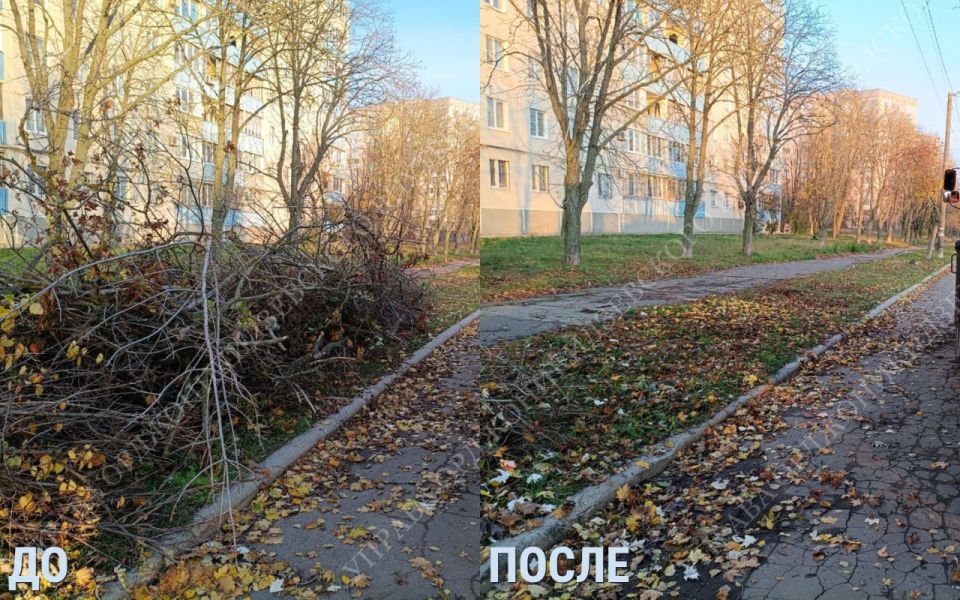 �������� ������� ����� - ������ ����, ������ ���