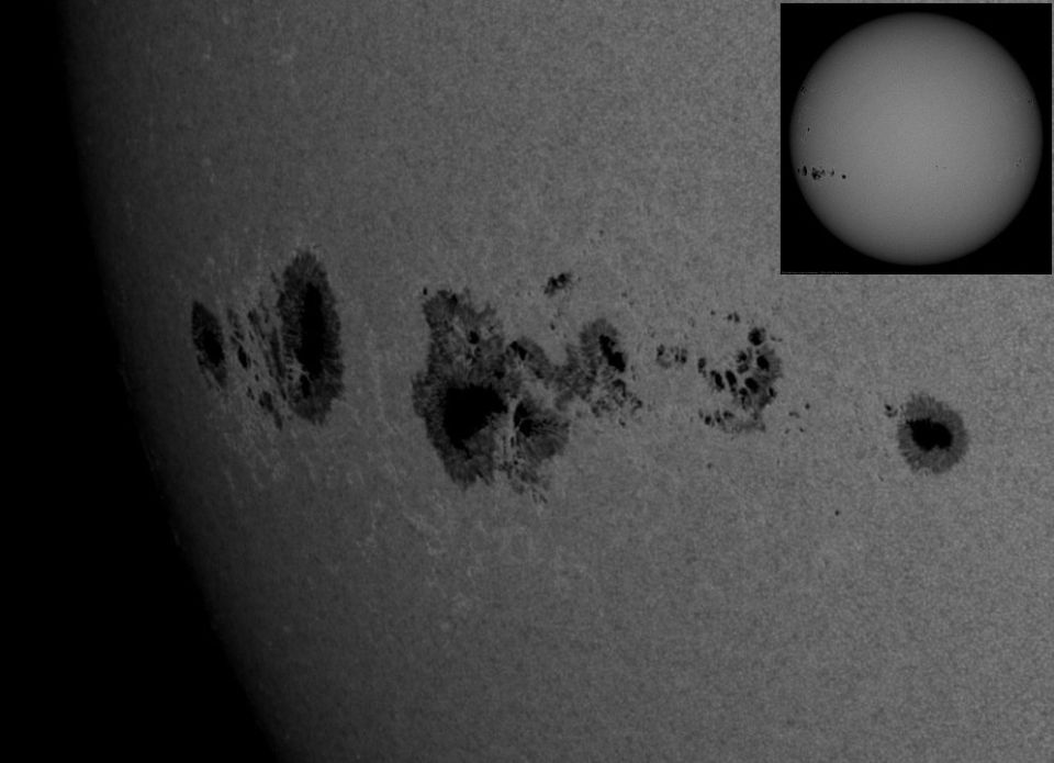 ������, ��������, ����� ������� ��� "�����������", ������������� ���������