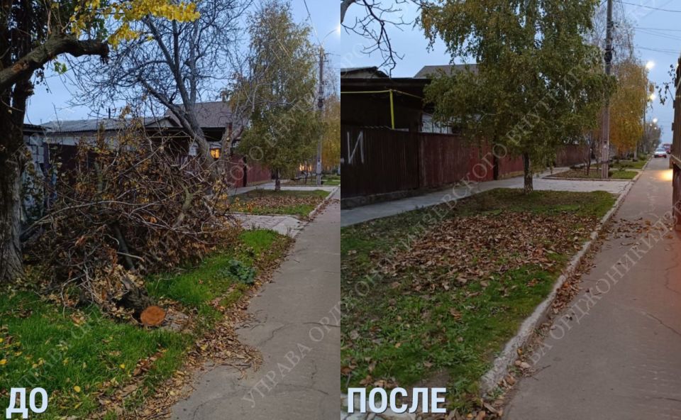 �������� ������� ����� - ������ ����, ������ ���