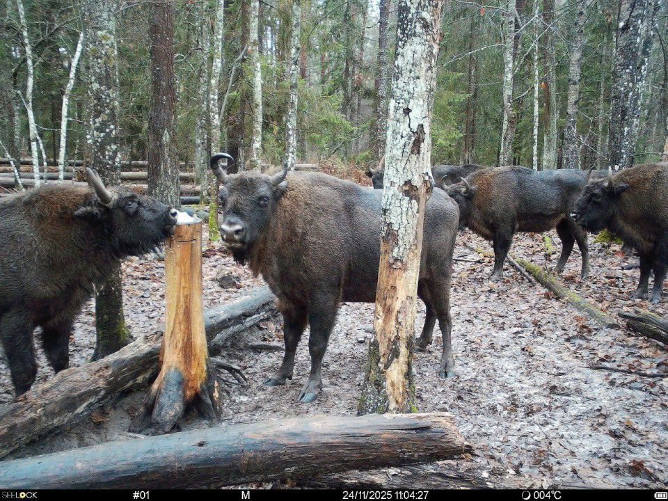 #* �������� ���������� �������� �� �������� � ����� ����