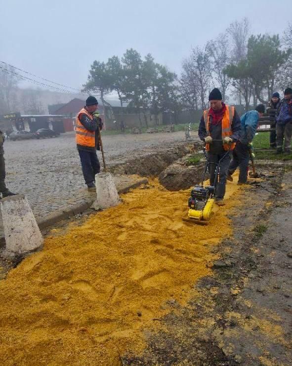 �������� ����������� ���������� ��������������� �������������� ��� � ���������