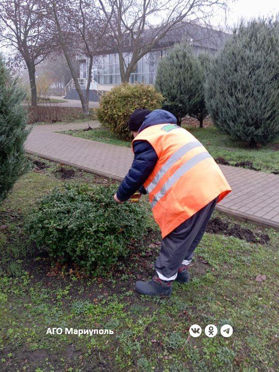 ������������� ������� ������� ���� ��������� � ����