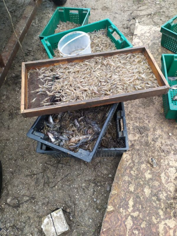 ��������� ������ � ��������