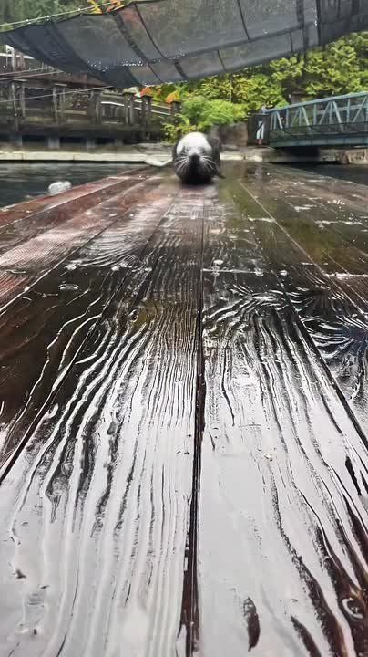 � ������ �����, ���������!