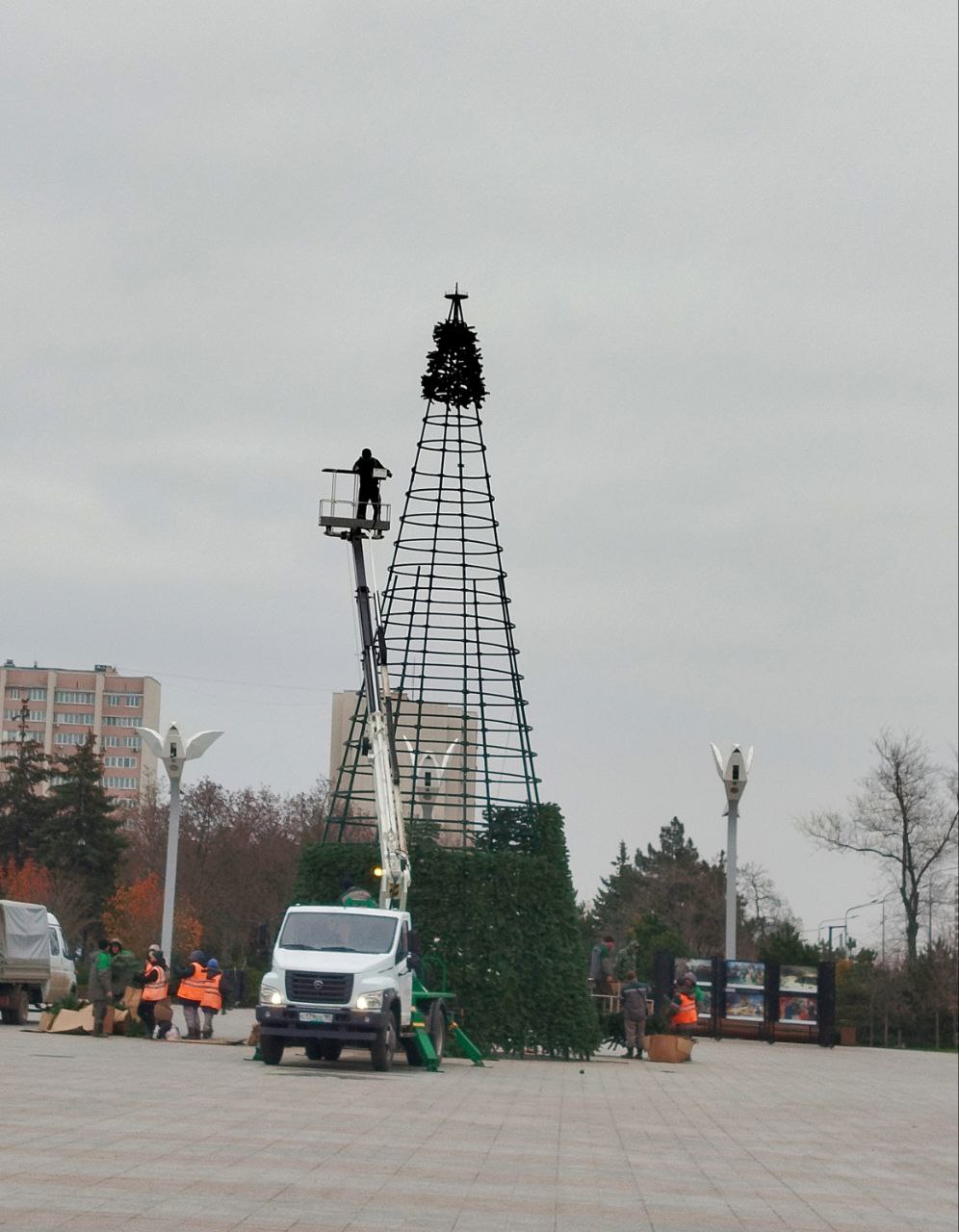 На площади Ленина устанавливают новогоднюю ёлку