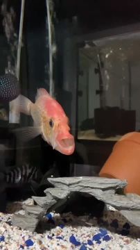 Спокойной ночи, Мариуполь!