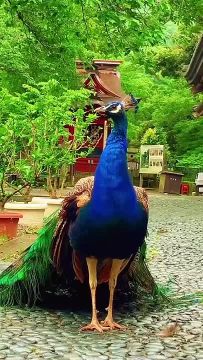 � ������ �����, ���������!