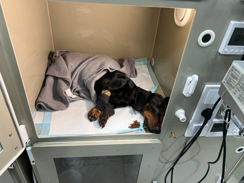 �� ������ ����. � �������� ��� ��� � ����� 22-��, �� ����� ������ ���������