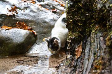 ������ �� ����� ����������� ������