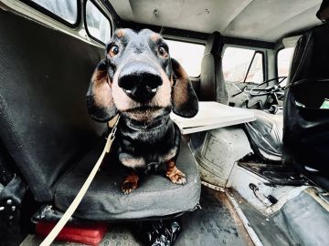 Вы знаете Жору. Я встретил его ещё в марте 22-го, во время штурма Мариуполя