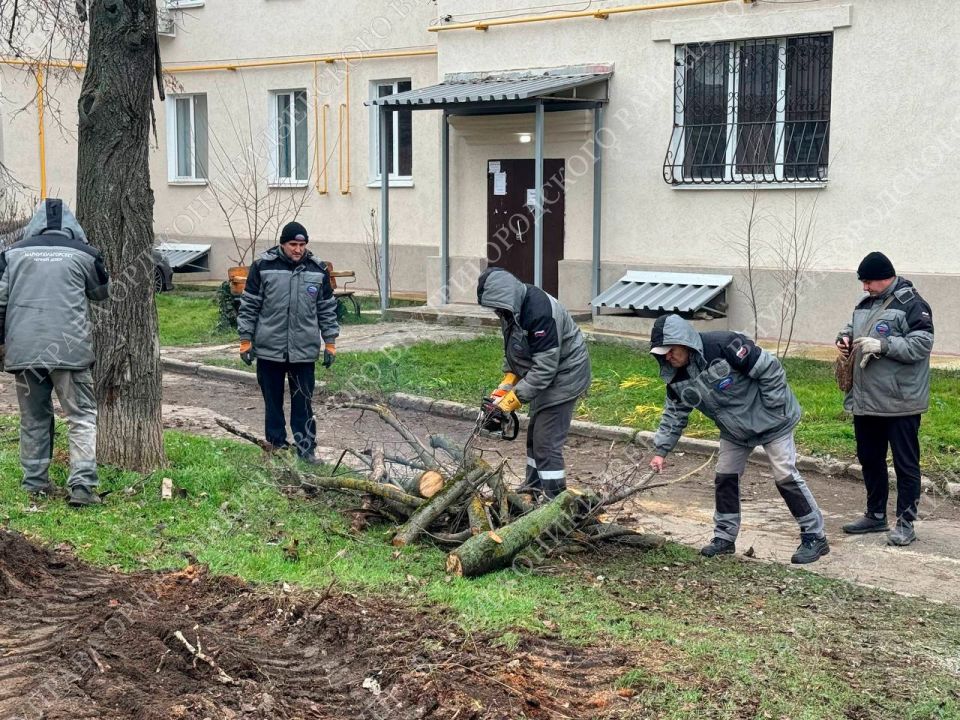 ������� ������� ������: ���������� ��������� �� ������������!