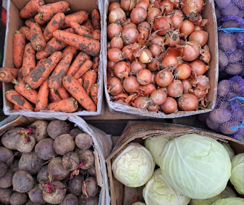 ������������ ������� � ������ ���������