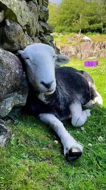 � ������ �����, ���������!