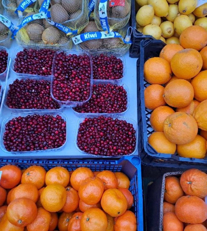 ������������ ������� � ������ ���������