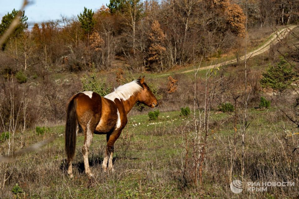 ������ �� ����� ����������� ������