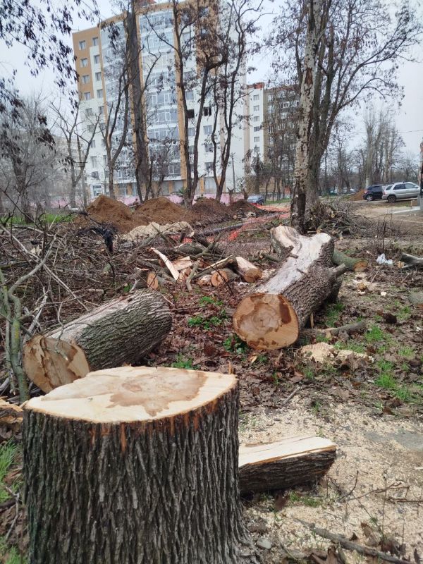 ������� 221-� ���������� ������� �������