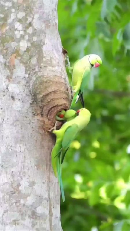 ������ ����, ���������!. ����� ���� ���� �������� ���� ������� ���������� � �������� ����