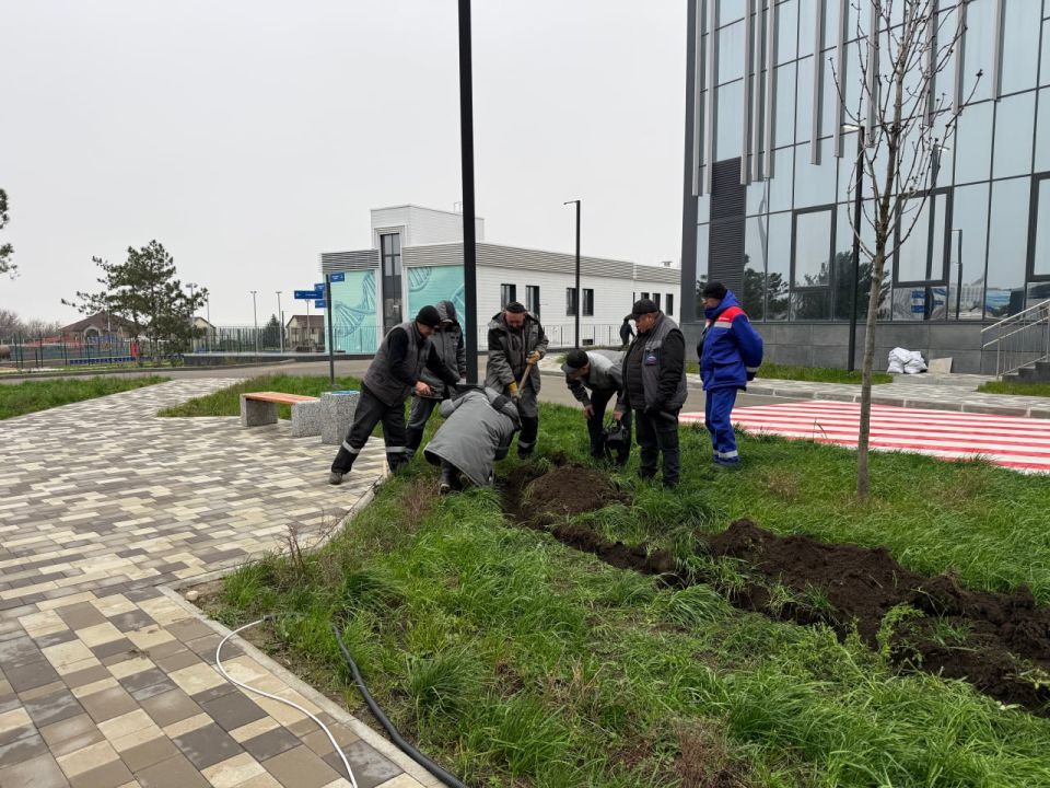 � ������������� ������� ������������ ������-�������� ������� ��������� ���������� � �������� ����� �������-������ ������� ����������� �������