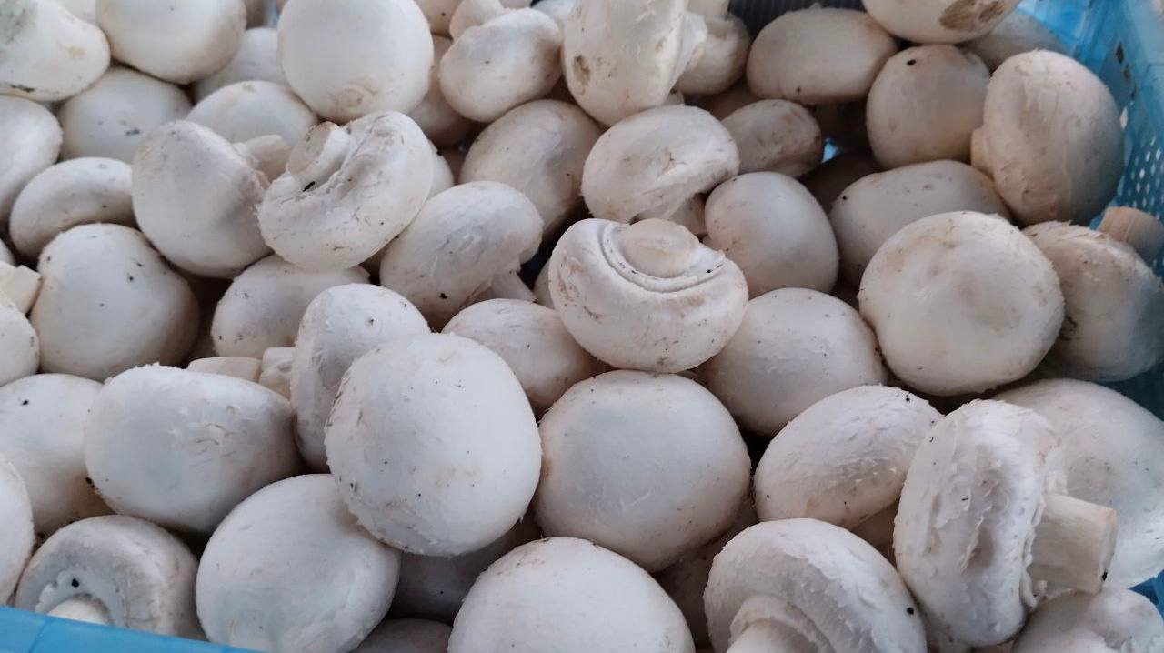 Еженедельная ярмарка в городе Мариуполь Еженедельная ярмарка в городе Мариуполь