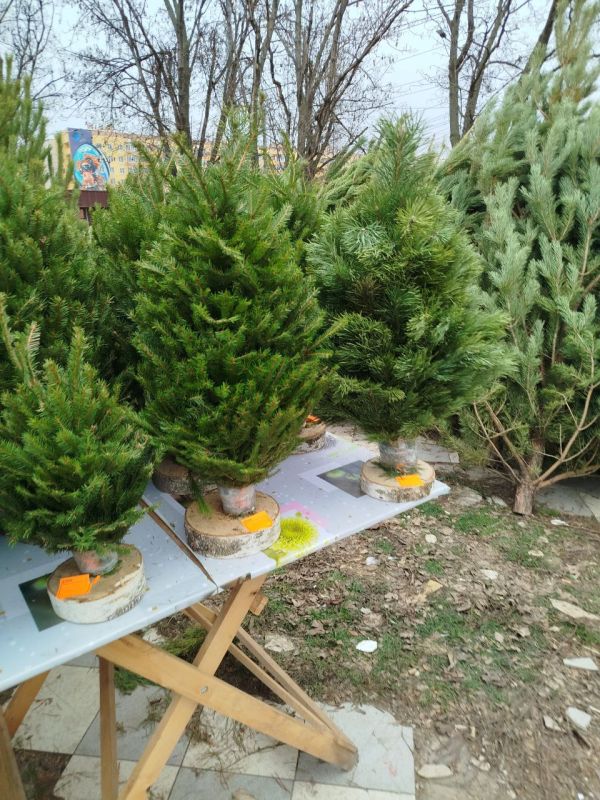 ������� ������ ��� �� ������ ���������