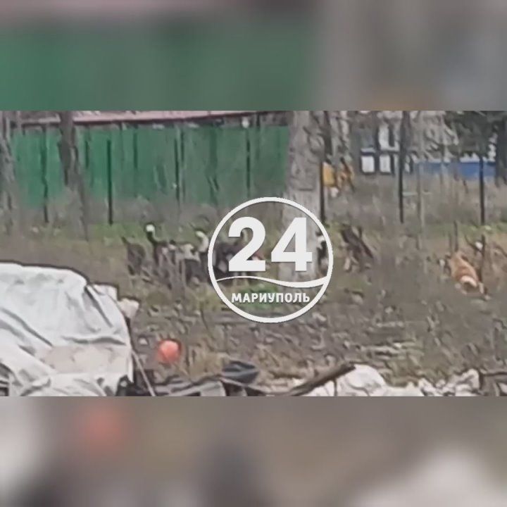 � ����������� ������ ������ ������������� ����� �63 - �������� ���� ��������� �����