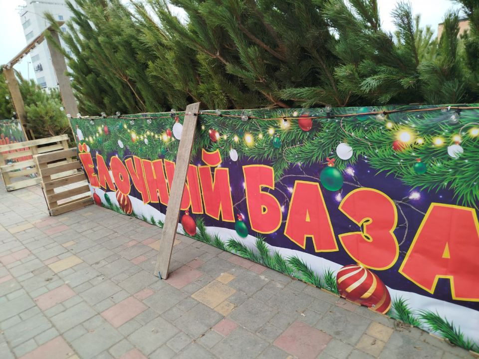 ������� ������ ��� �� ������ ���������