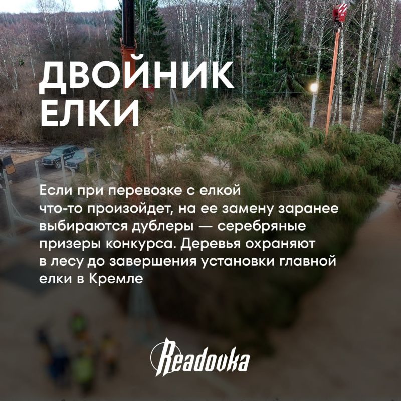 ������� ���� ������ � ��� �������� ���������� ��������� ������