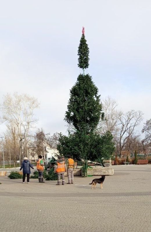 � ����� "�������" �������� ����