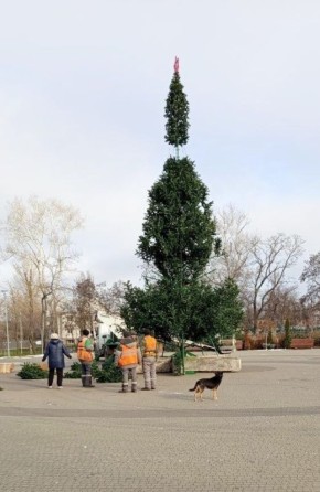 � ����� "�������" �������� ����