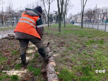 Мариупольские коммунальщики освободили общественные пространства от растительного мусора