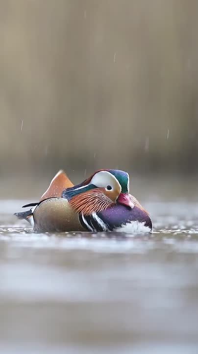Спокойной ночи, Мариуполь!