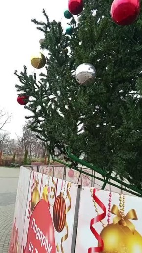 Левобережная ёлка в парке "Веселка" - подарок из Тулы