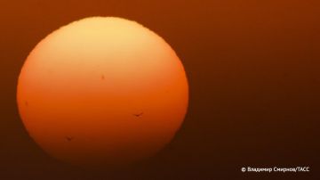 ����� �������� �������� ���� � ������ ����� ������ 18 �����