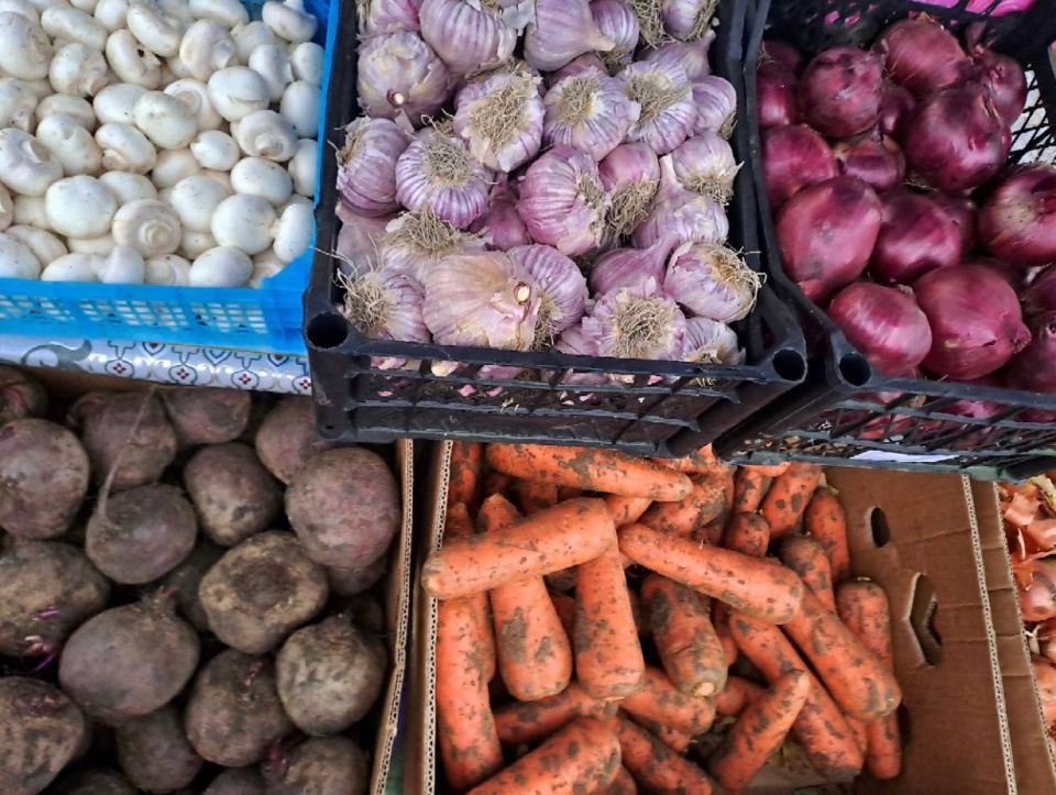 ������������ ������� � ������ ���������