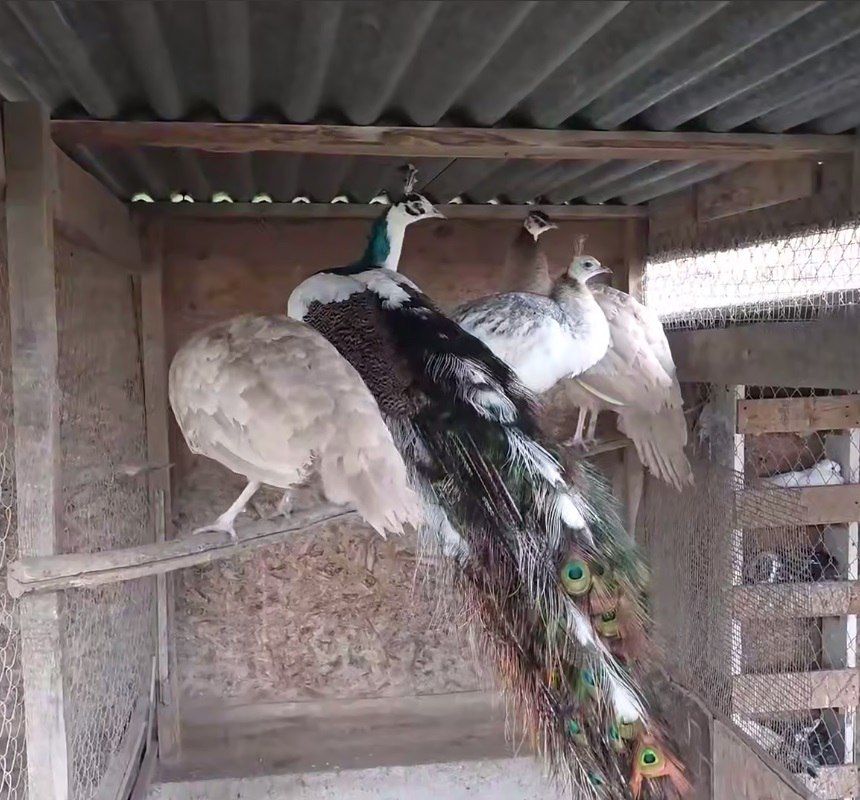 ������ ������� ����� ������ ������ ����� � ����